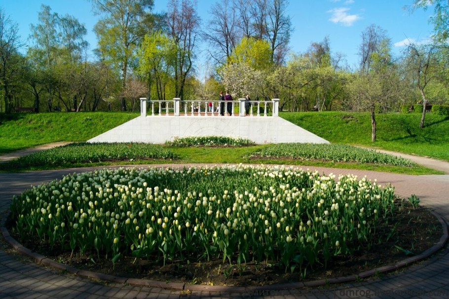 Сад будущего Ботанический сад Москва