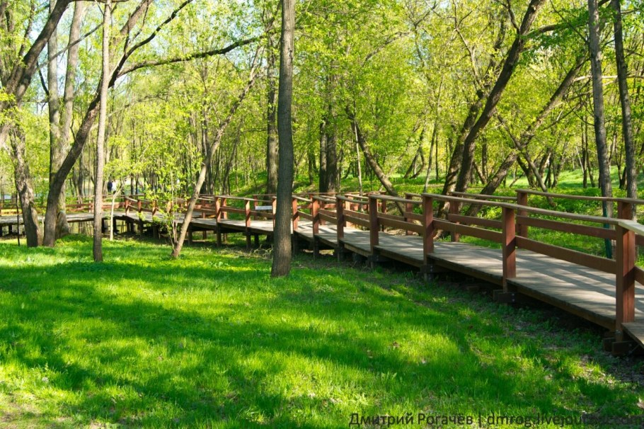 Парк "сад будущего" (Леоновский парк)