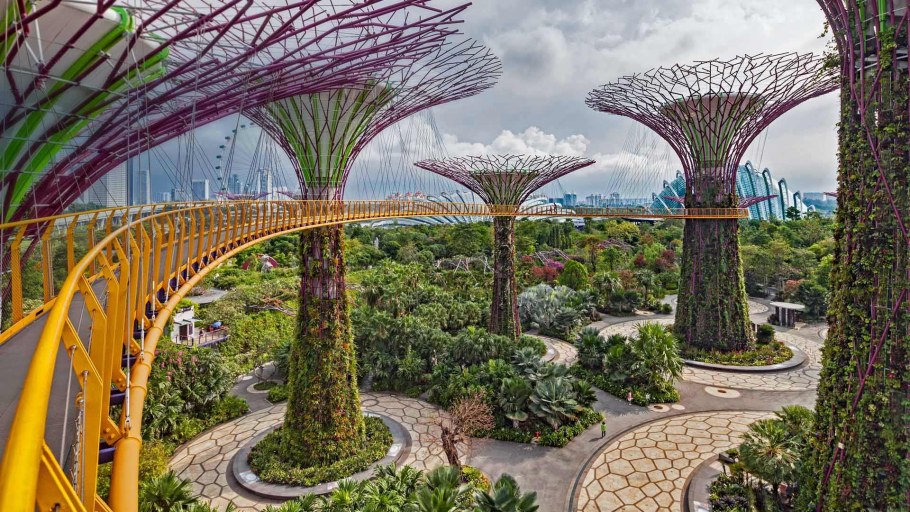 Сингапур Ботанический сад Gardens by the Bay