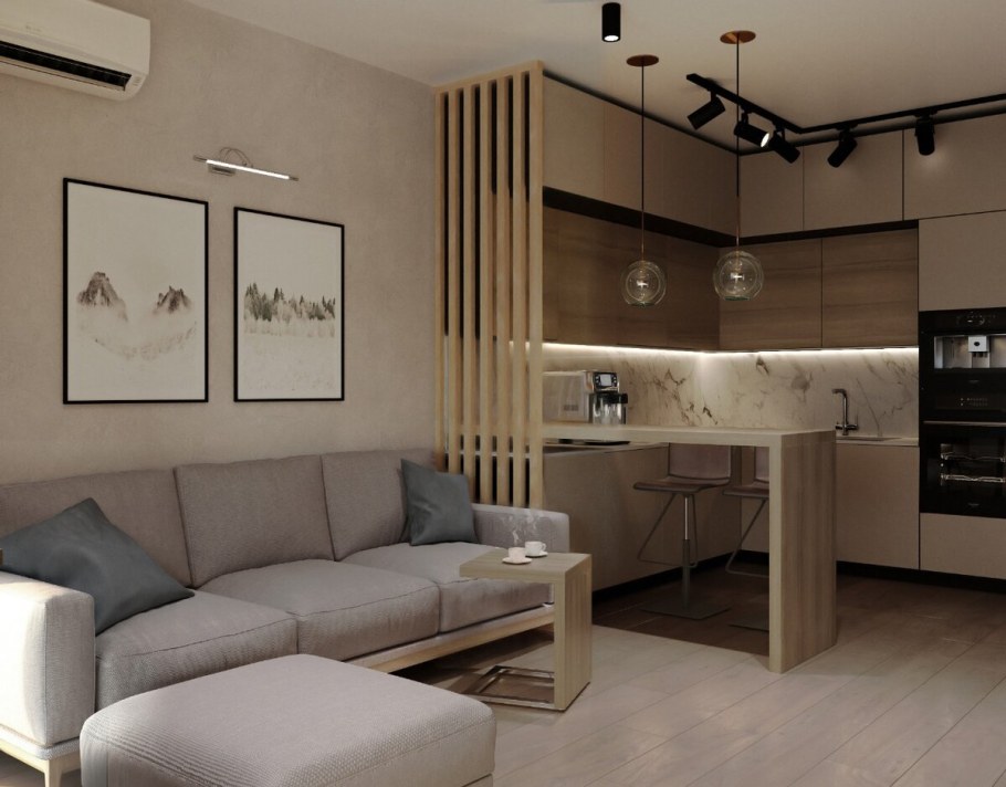 Разграничение кухни и гостиной