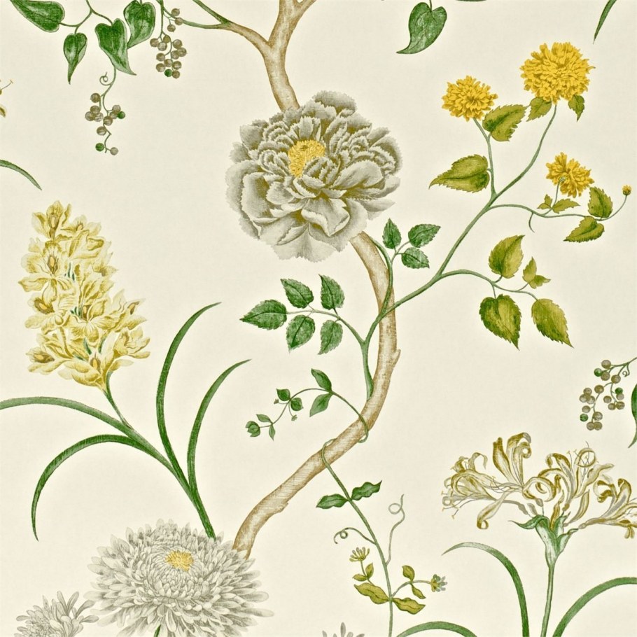 Сандерсон ботаника