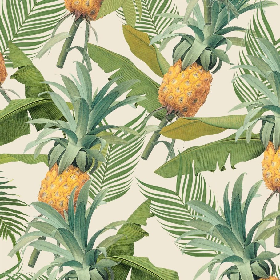 Ананас Эстетика