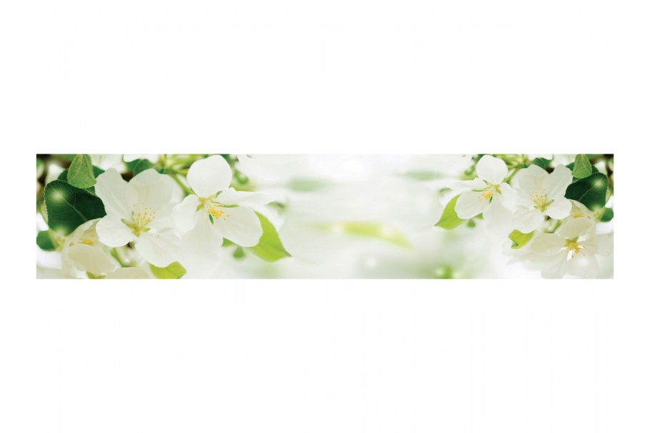 SP 258 Альбико