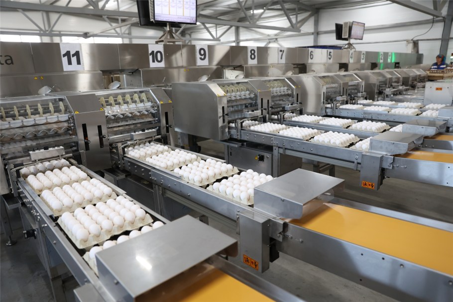 Шоколадная фабрика Самара