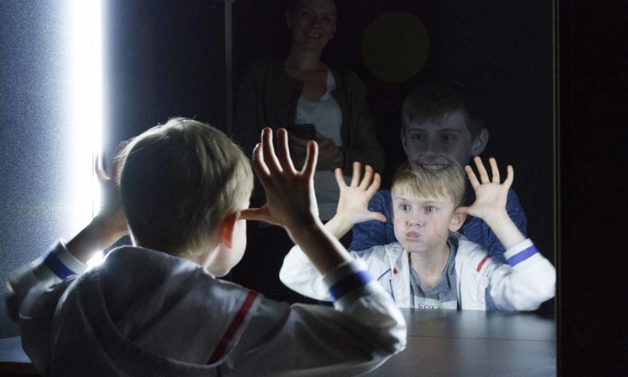 Зеркало Гезелла