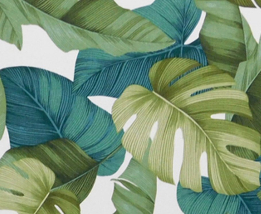 Cercom тропические листья