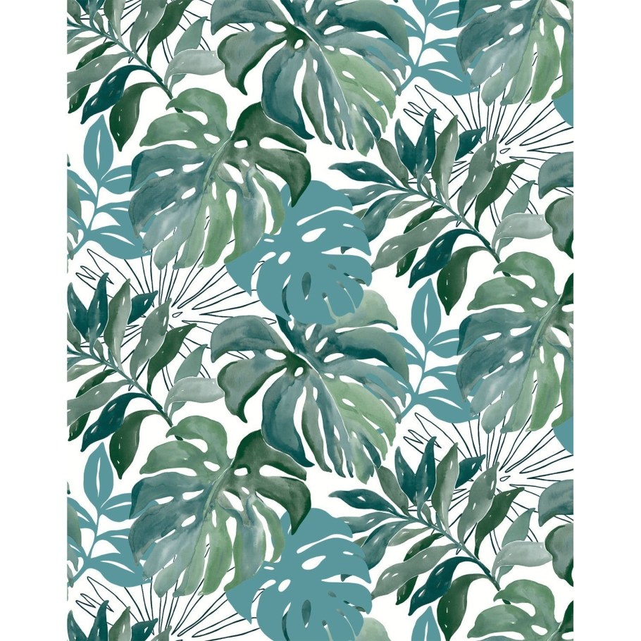 Rasch selection монстера