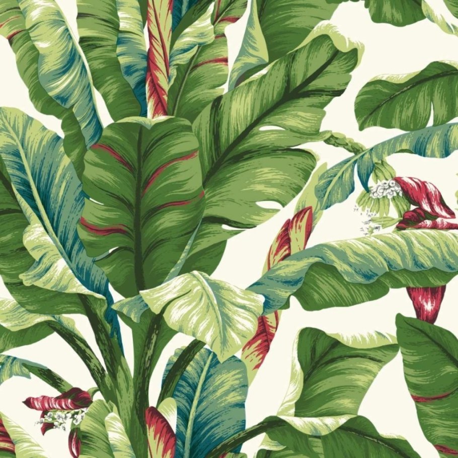 Ashford House Tropics