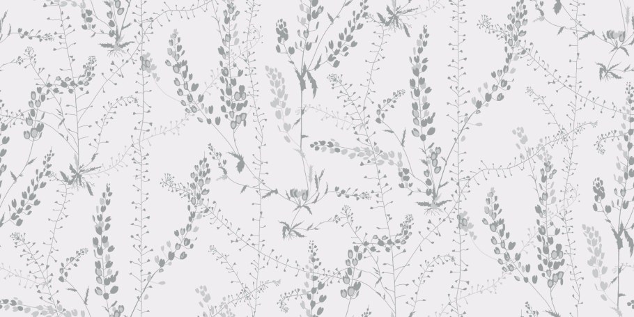 Обои Borastapeter anno 4504