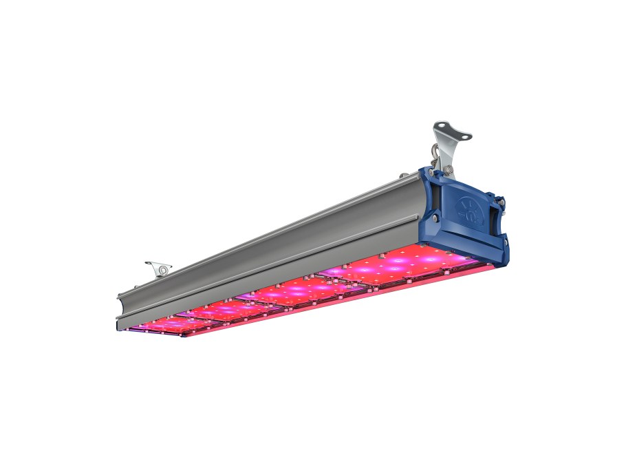 TL-Prom SM Fito 360 un (1.000)