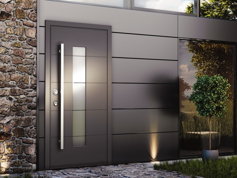 Входные алюминиевые двери Торекс