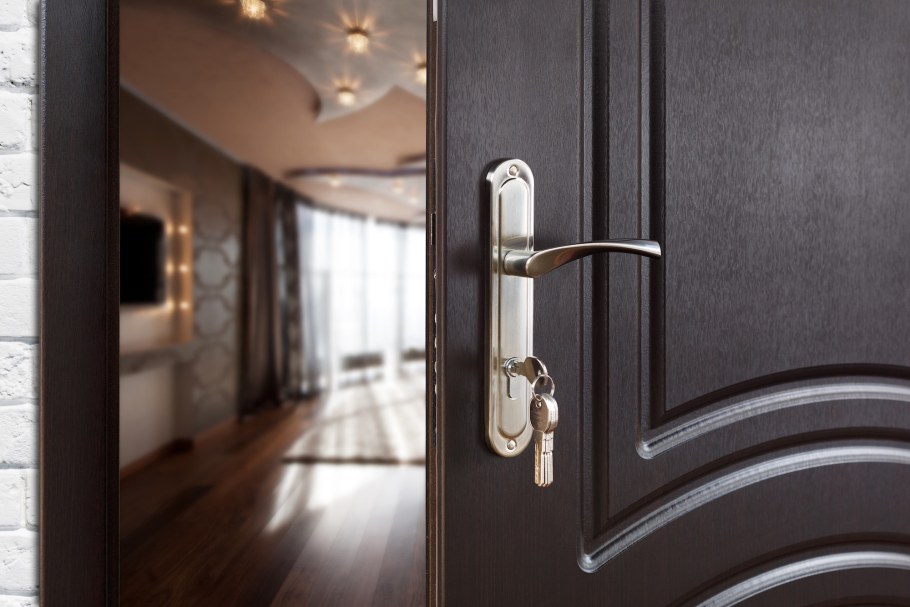 Чем помыть входную металлическую дверь от разводов