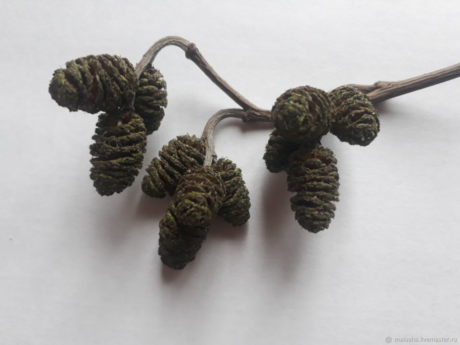 Мебель из дерева ольха