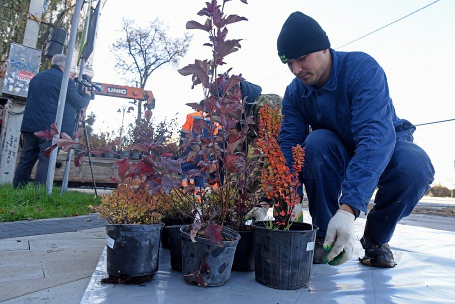 Наиль Купер ландшафтный дизайнер