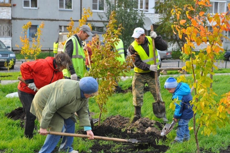 Укладка газона