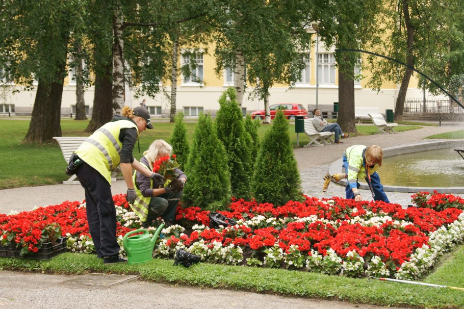 Покос травы
