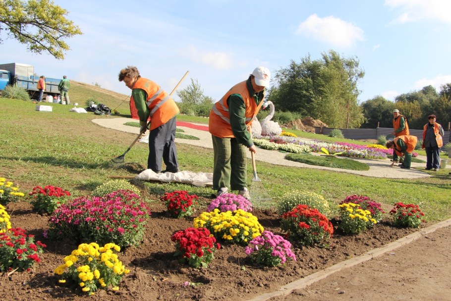 Компании по благоустройству и озеленению