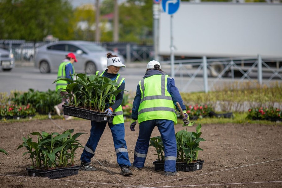 Проект благоустройства территории