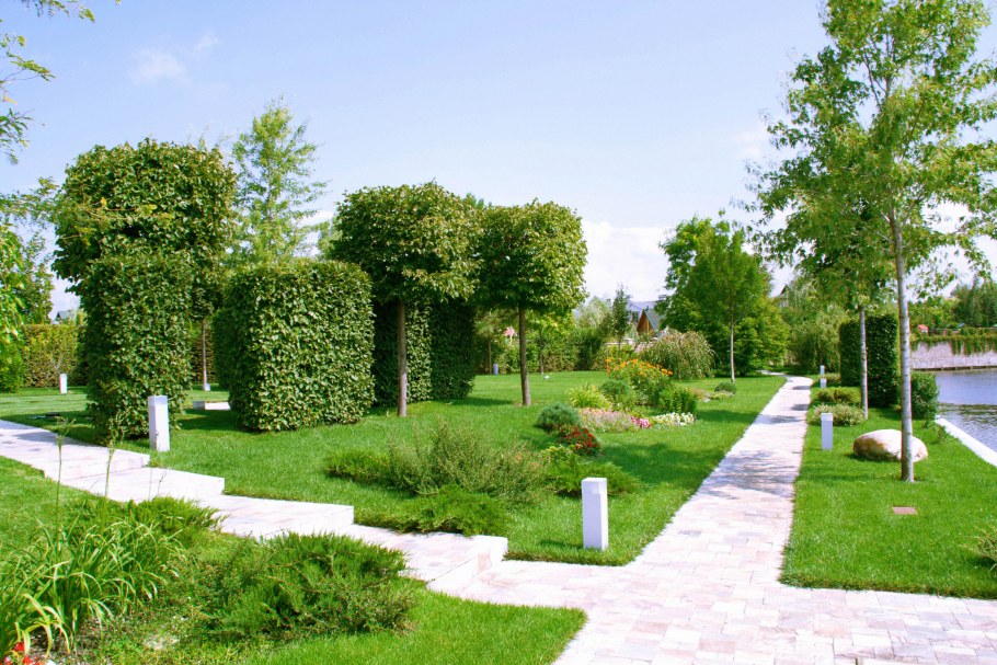 Высадка растений в сквере