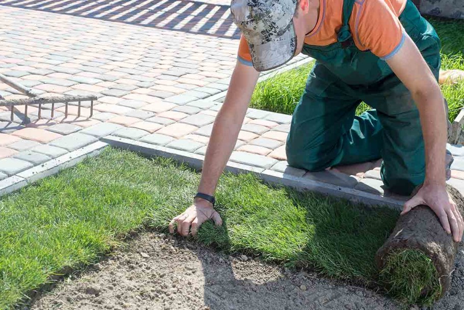 Цветы на улицах города