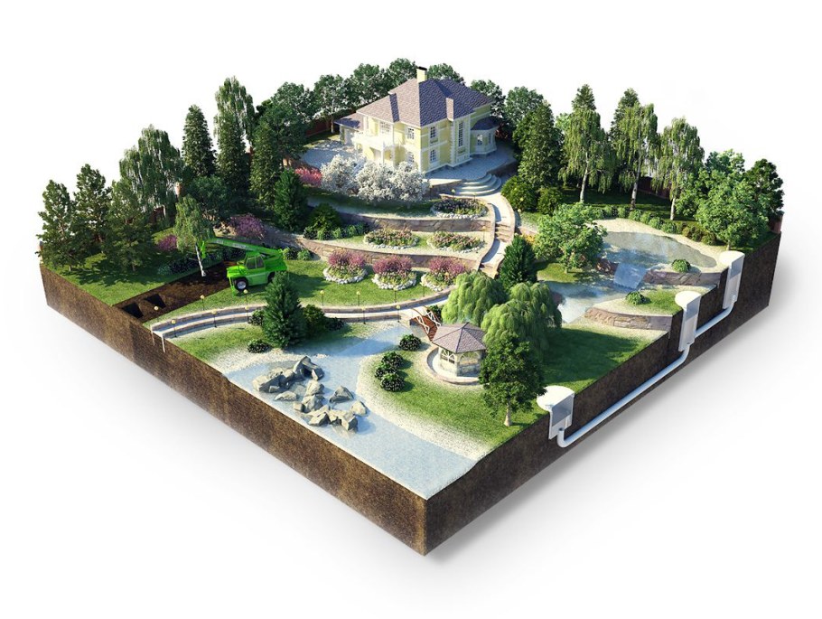 Растения на улицах города