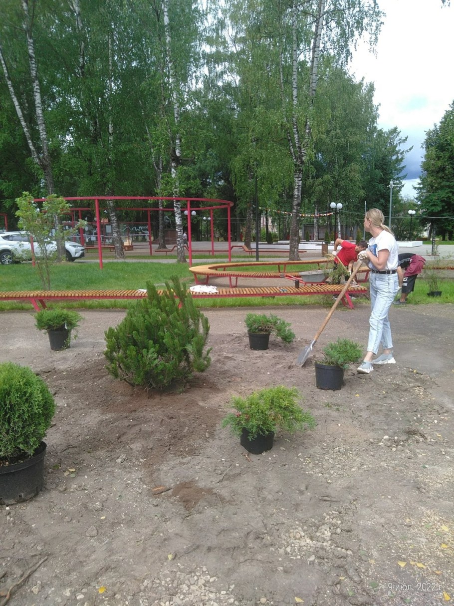 Посадка деревьев на участке