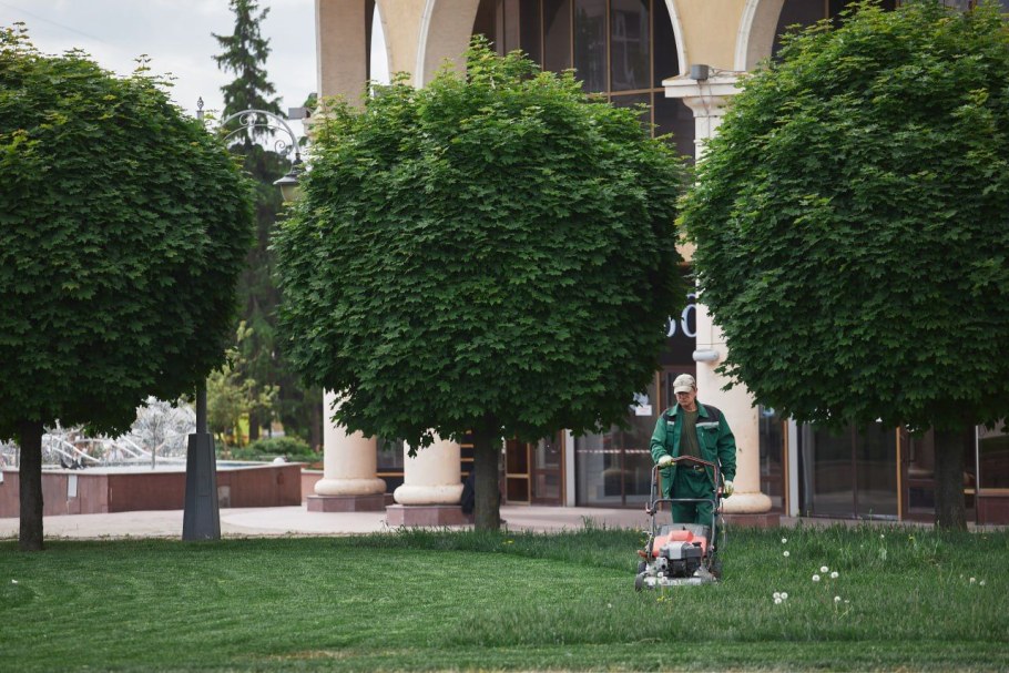 Зеленстрой ВК