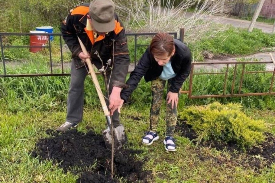 Озеленение и благоустройство территории
