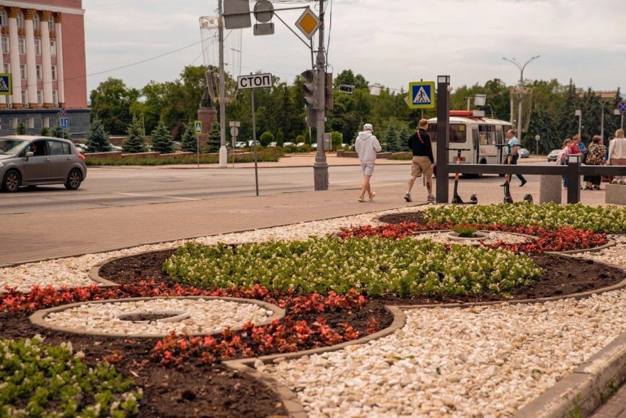 Посадка деревьев Озеленение