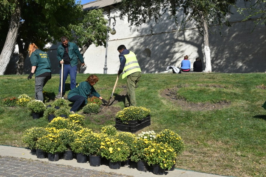 Варвара Докшина ландшафтный дизайнер