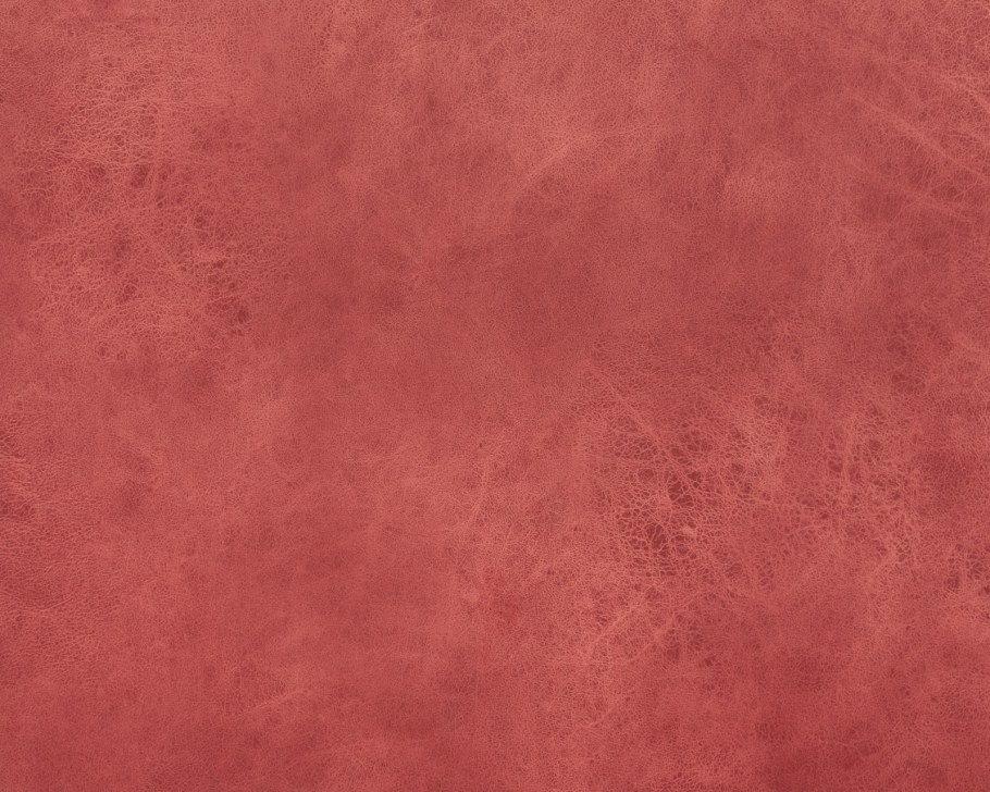 Nevada Coral (Арбен) велюр