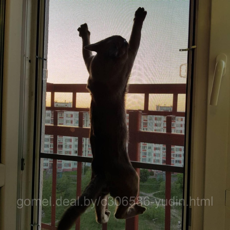 Москитные сетки антикошка