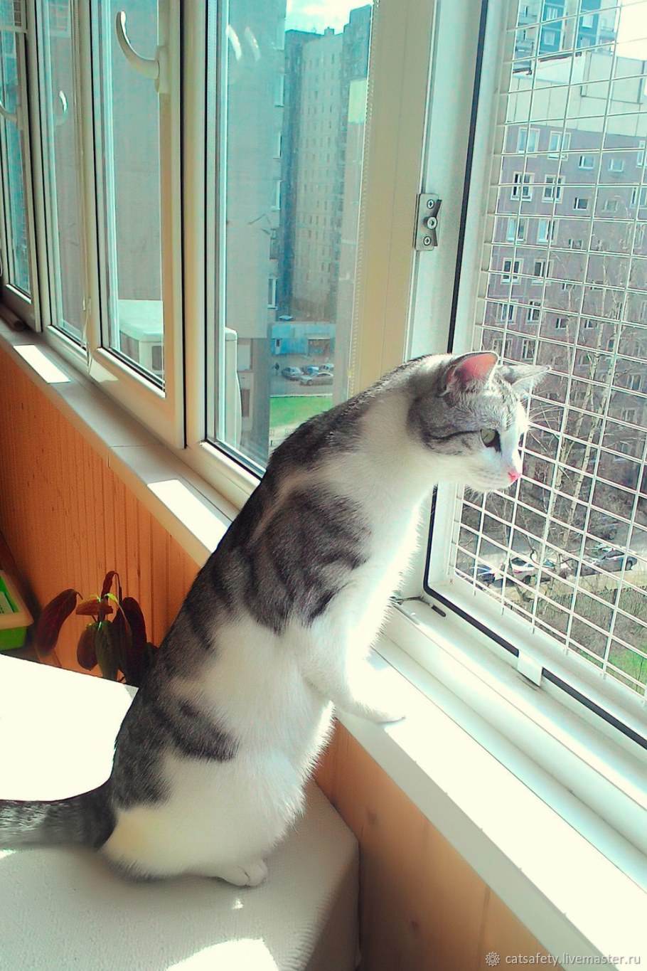 Петскрин антикошка