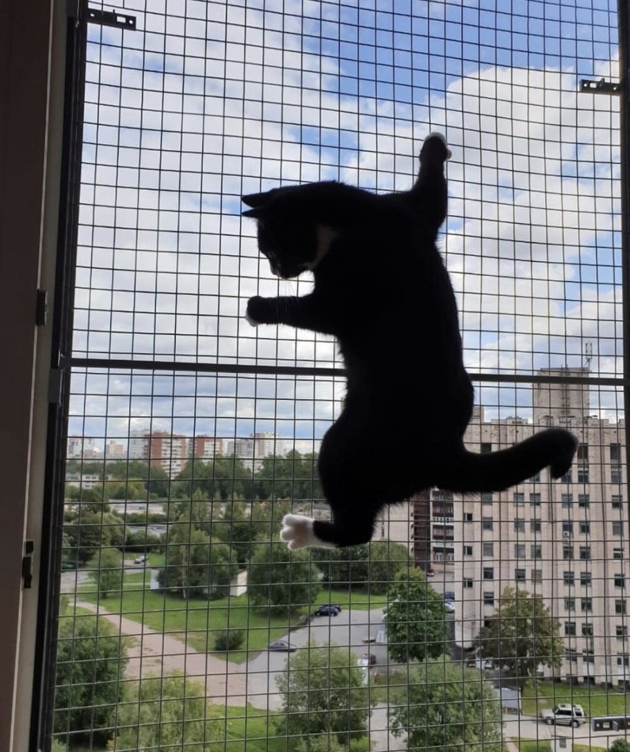 Антикошка на балкон