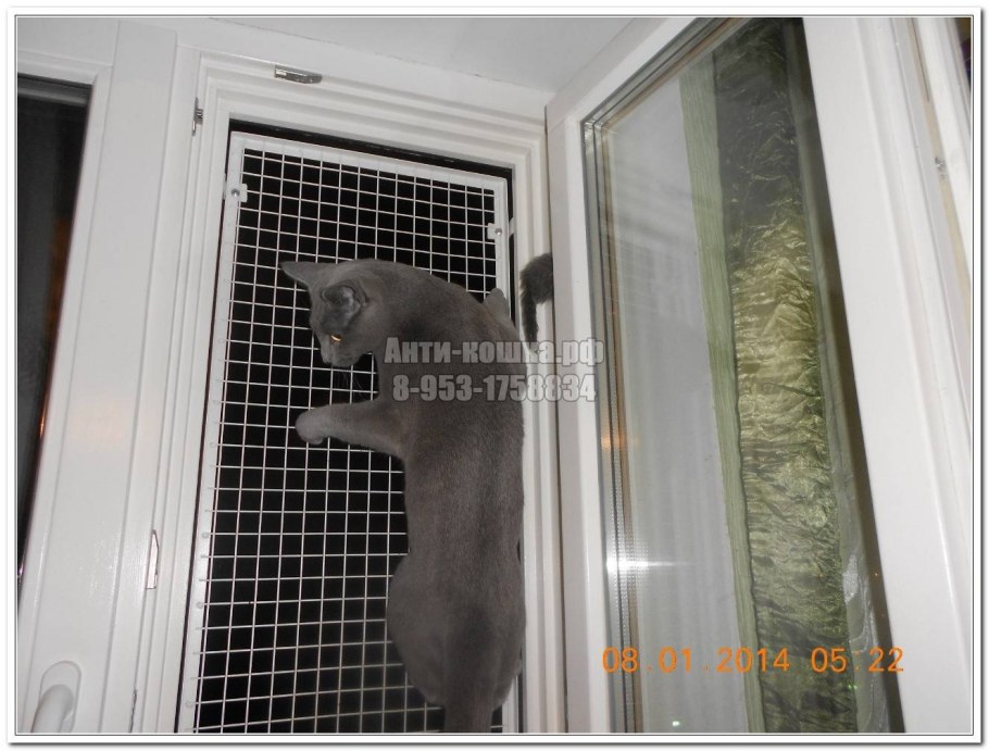 Сетка антикошка с замком