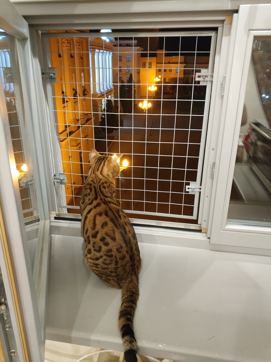 Сетка антикошка