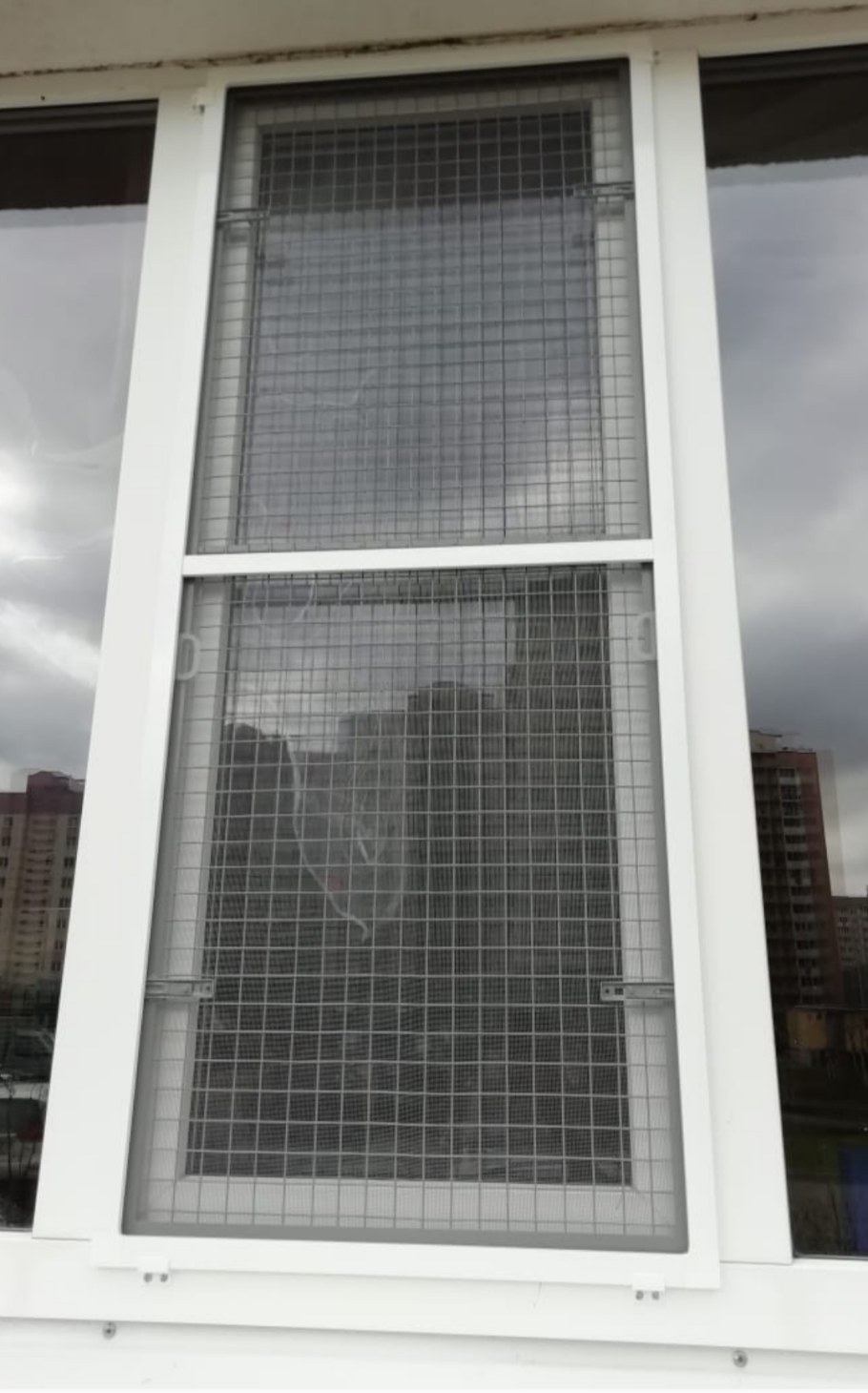 Петскрин антикошка