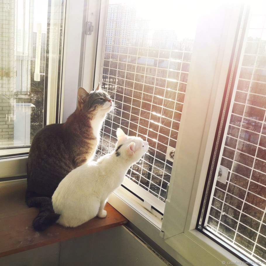 Москитные сетки антикошка