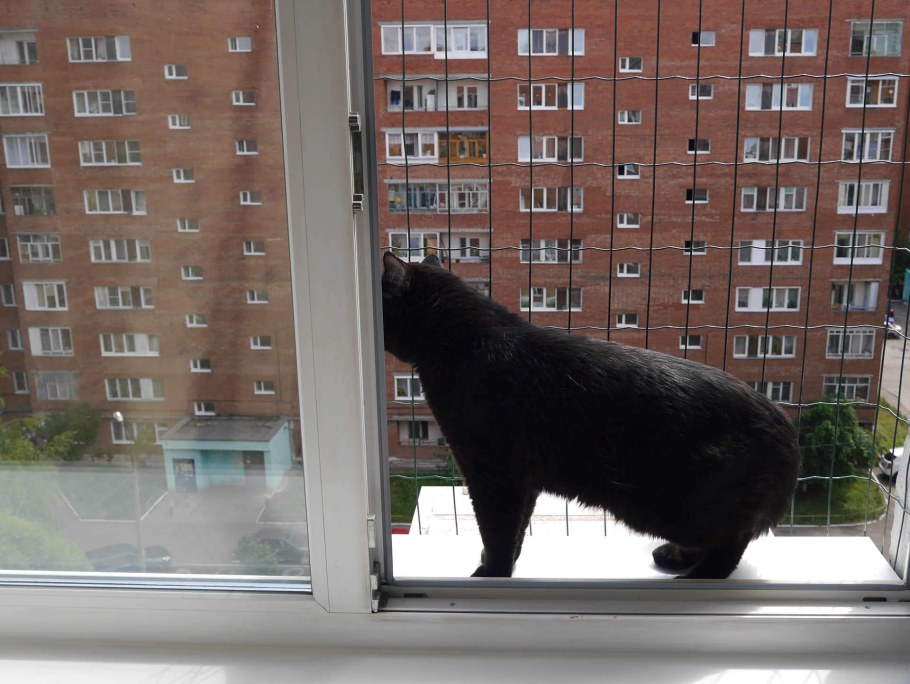 Сетка от кота на окно