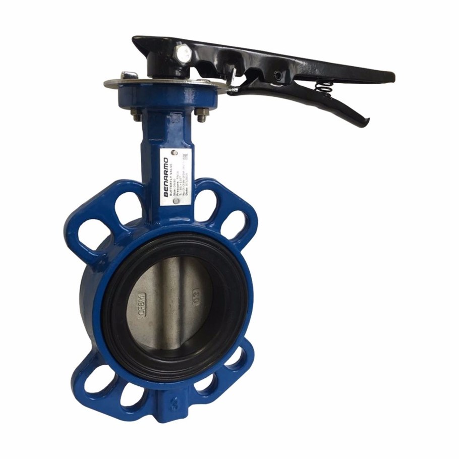 Затвор межфланцевый Ду 80