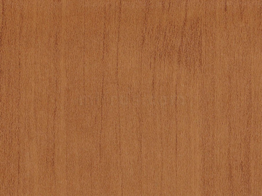 Бук Бавария h1511