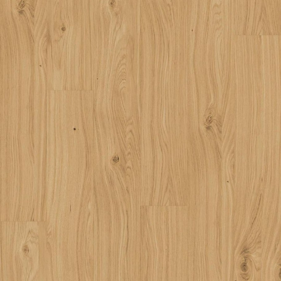 Вишня Оксфорд u9503