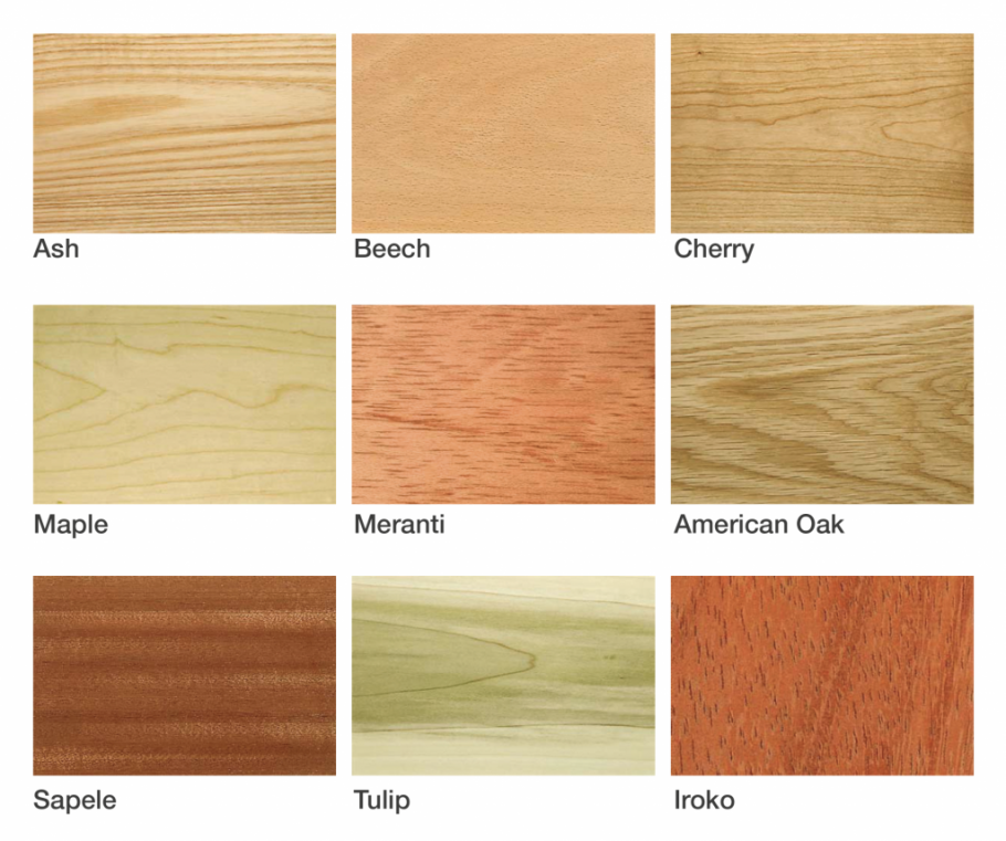 Бук цвет дерева