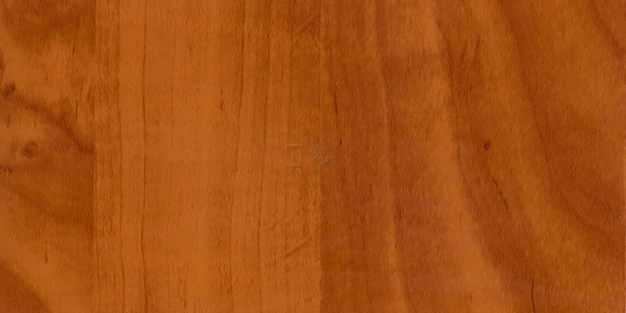 Ольха Бавария цвет