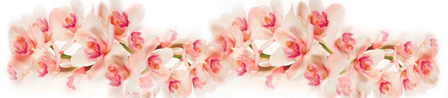 Стеновая панель 2,8 м Albico тропики