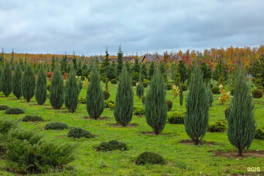 Питомник растений Южный Серпуховский район