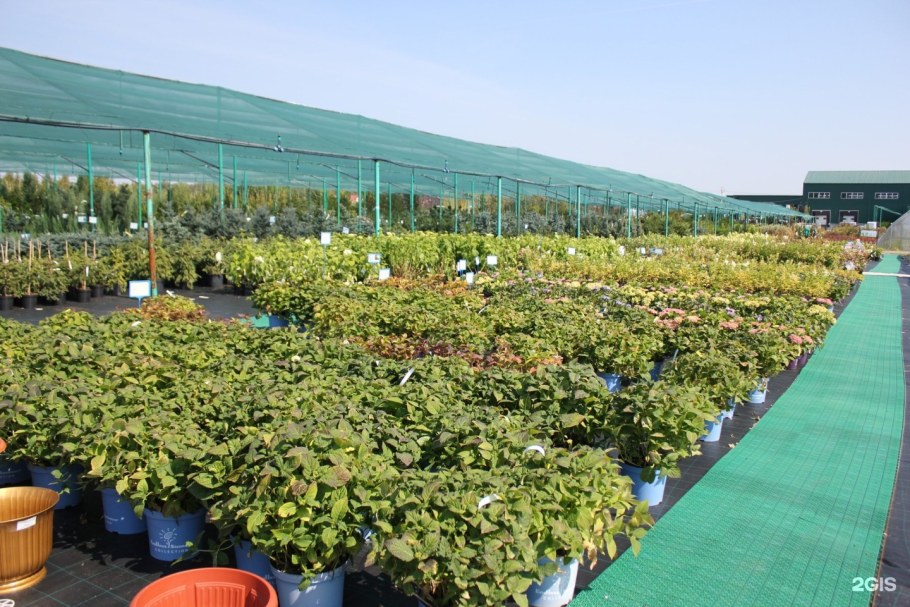 Питомник Южный в Серпуховском районе