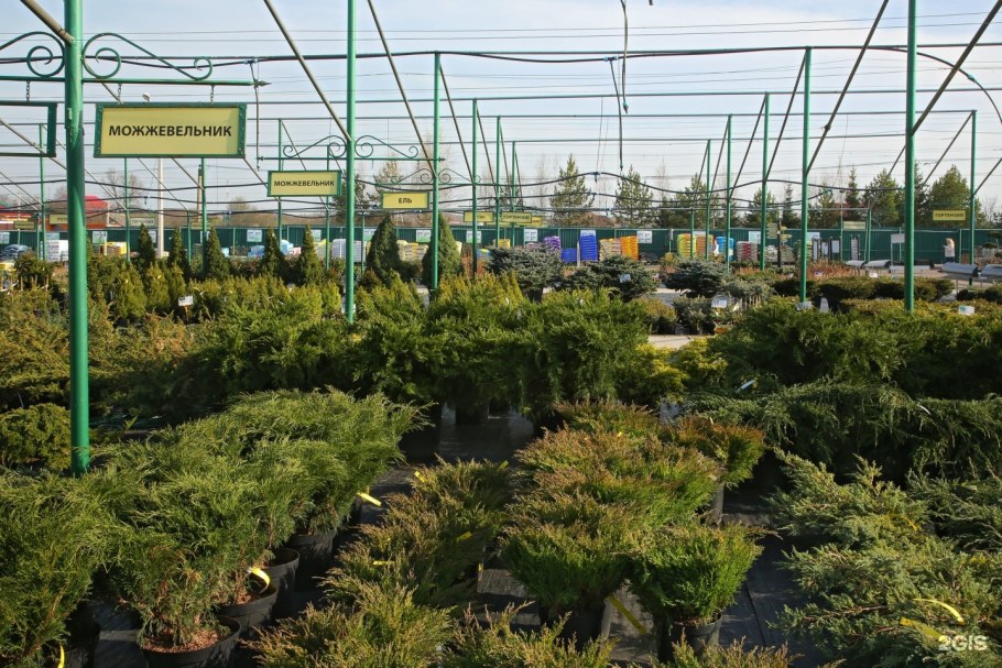 Питомник Южный деревня старые Кузьмёнки