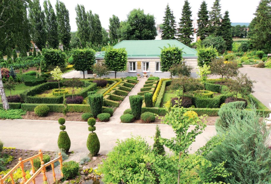 Армавирский Совхоз декоративных культур