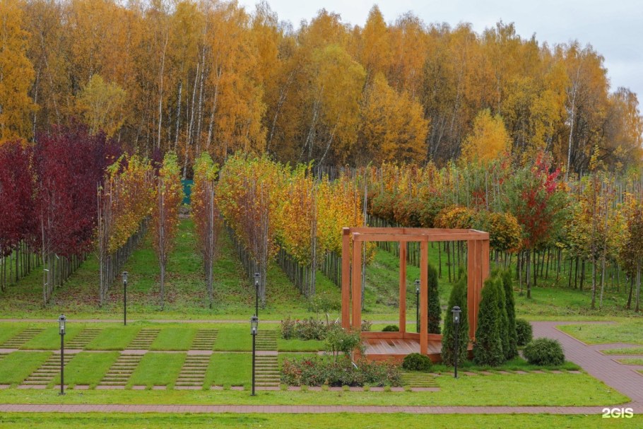 Питомник деревня старые Кузьменки